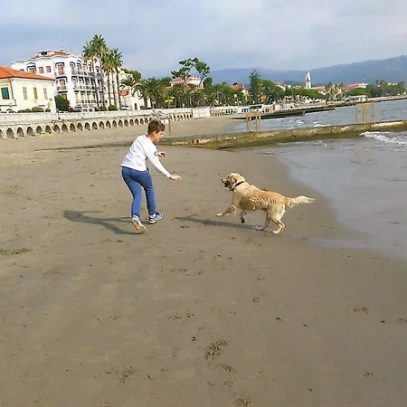 Apartment Casa Gemma *